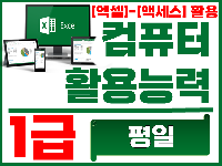 컴퓨터활용능력 1급 (실기)